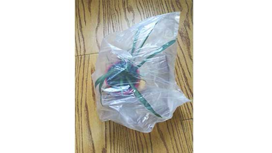 生物降解（jiě）袋家中植（zhí）物保護神