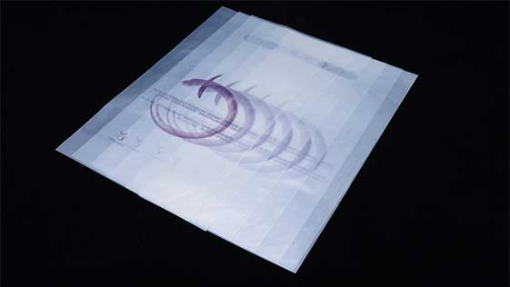 雙11來臨，生物降（jiàng）解袋（dài）助力（lì）綠色包裝