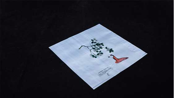 生（shēng）物降解袋和普（pǔ）通塑料袋焚（fén）燒有什（shí）麽區（qū）別？