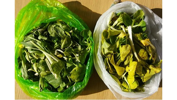 光（guāng）降解塑料袋和生物降解塑料袋（dài）的區別