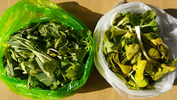 可降解塑料袋（dài）